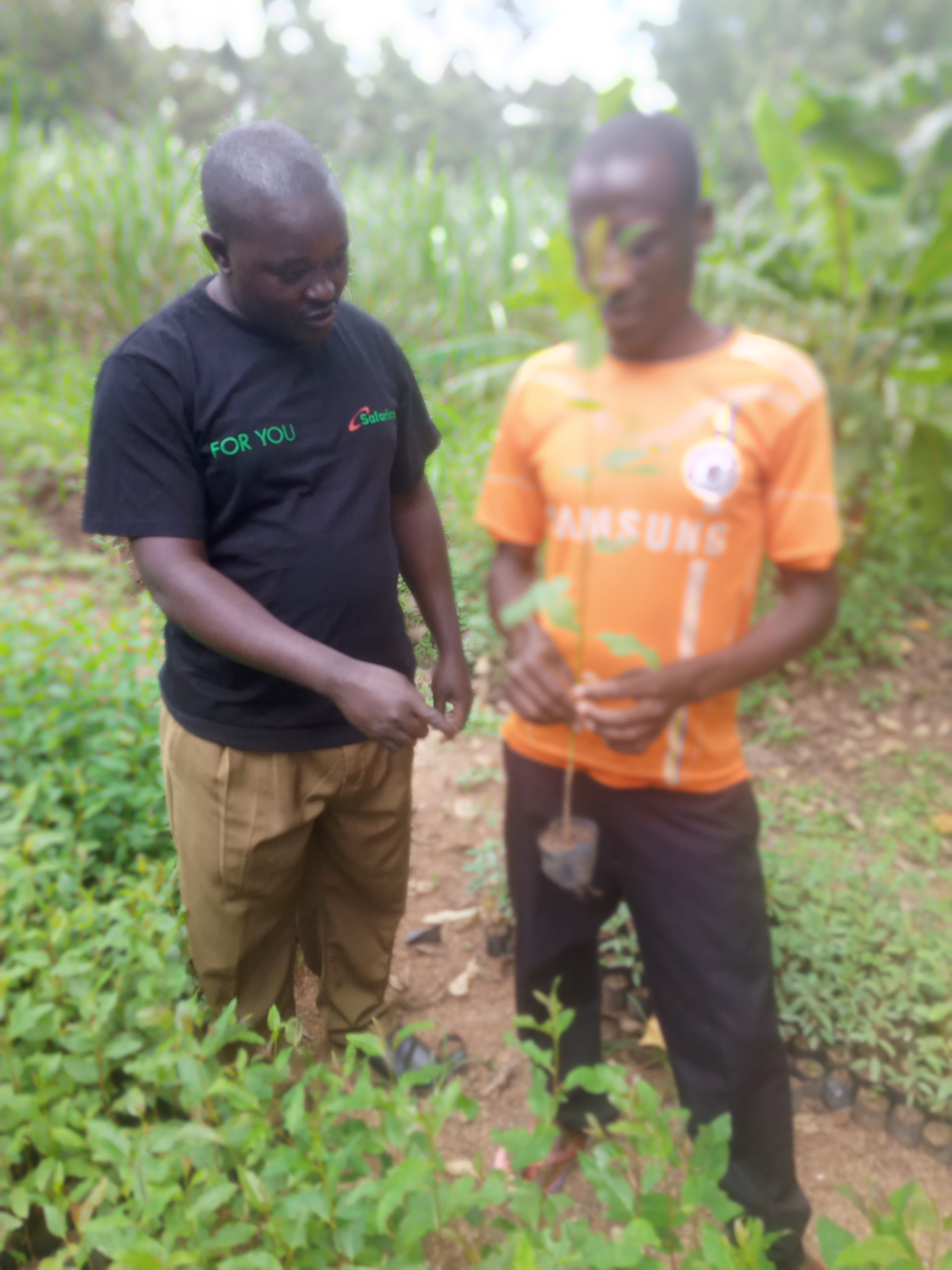 Youth-Led Environmental Group in Malava Seeks Support as Tree Nursery Expands