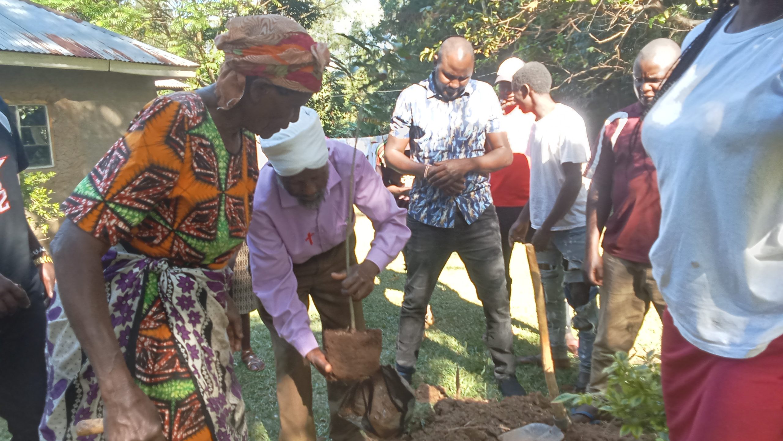 New Year, New Forest: 72-Year-Old Grandmother Rallies 32 Relatives to Plant Trees